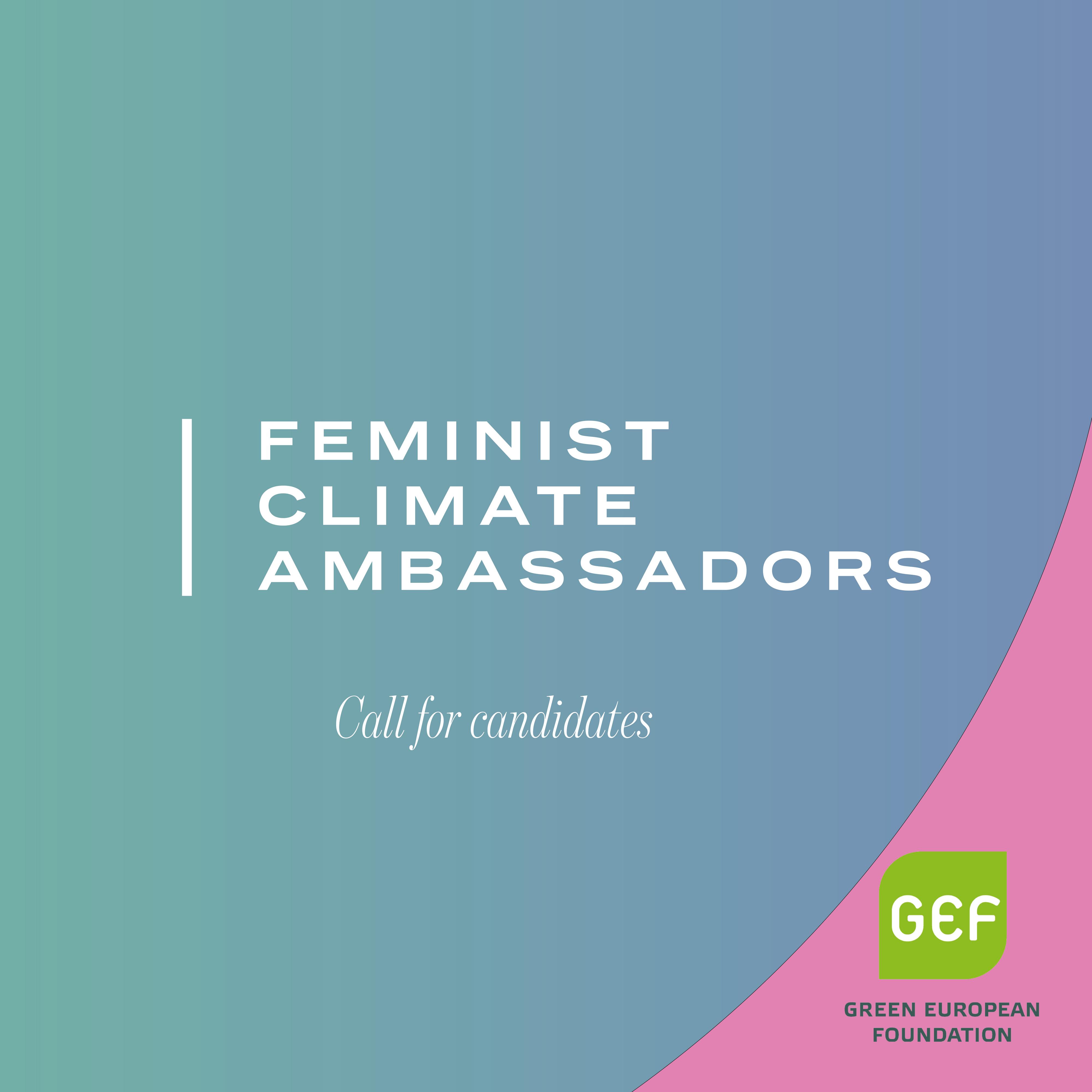 Call for candidates to the feminist climate ambassadors -training programme of 2021. 